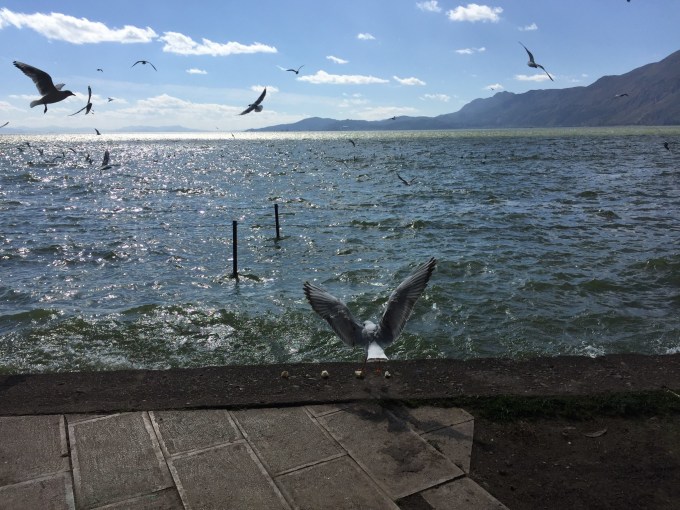 滇池风景区