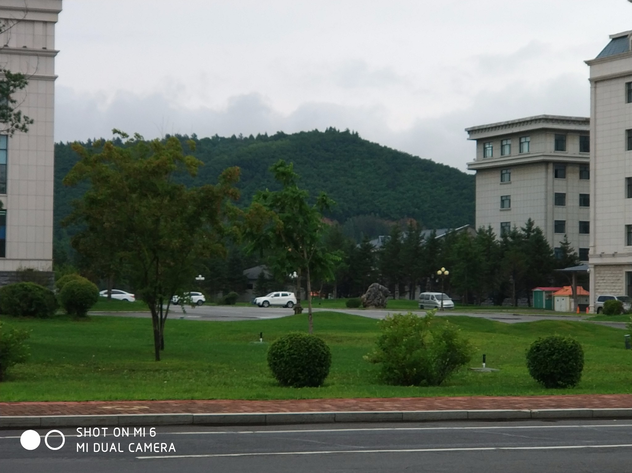 我是从伊春市翠峦区出发的,乘坐一路公交到黄金花园下车,我选择提前两