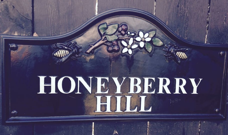 honey lounge 二倍,size zone honeyberry hill, "the lounge"