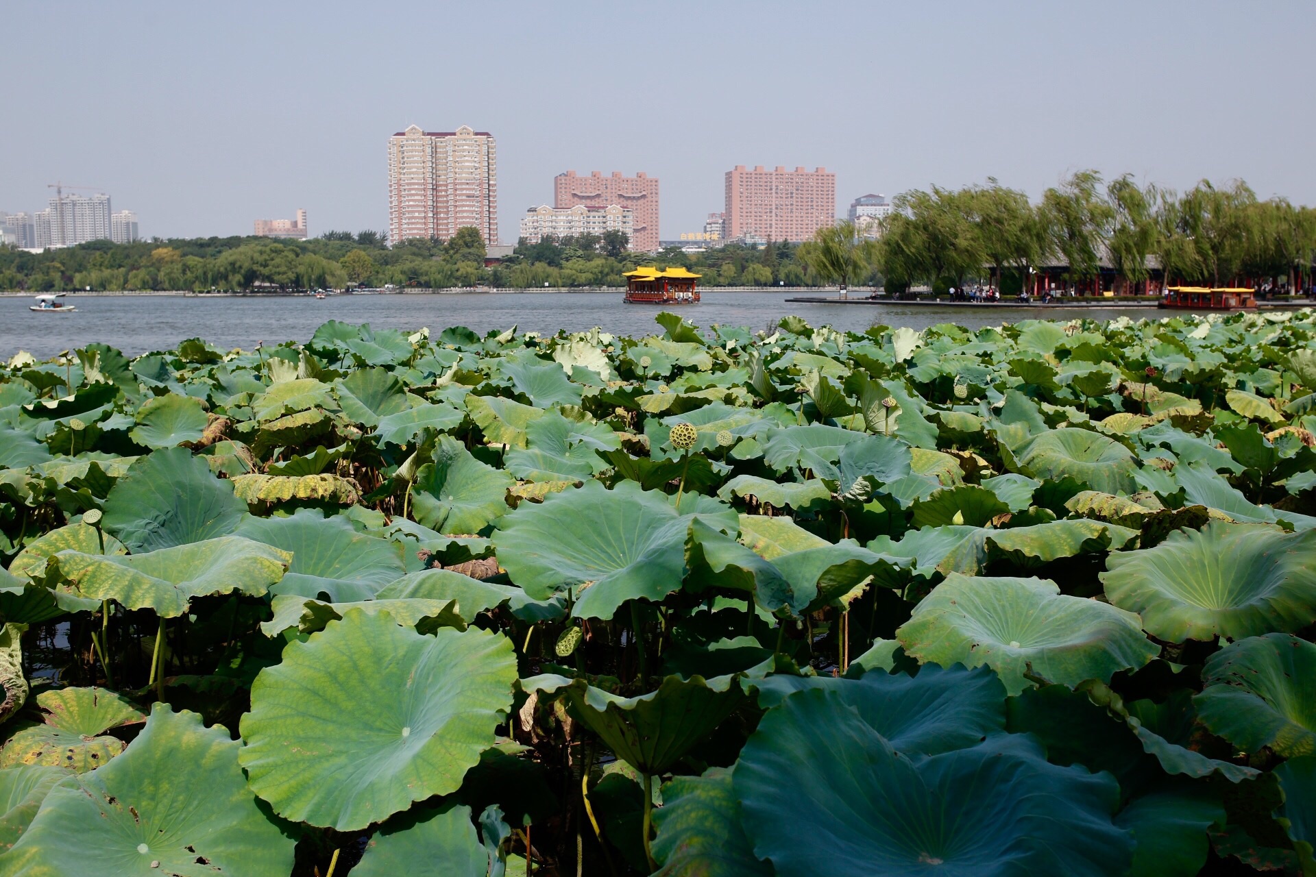 华西村人均收入_济南人均寿命(2)