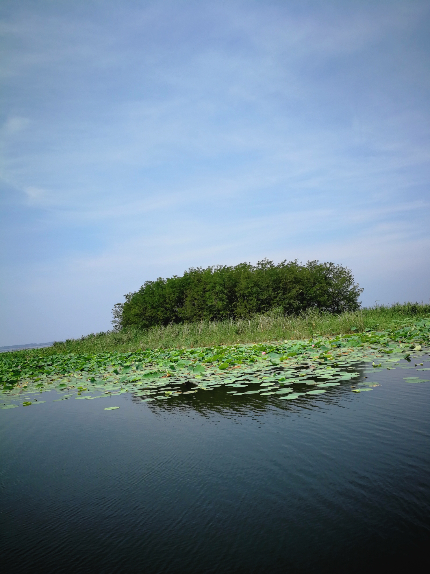 微山湖和台儿庄古城周末游