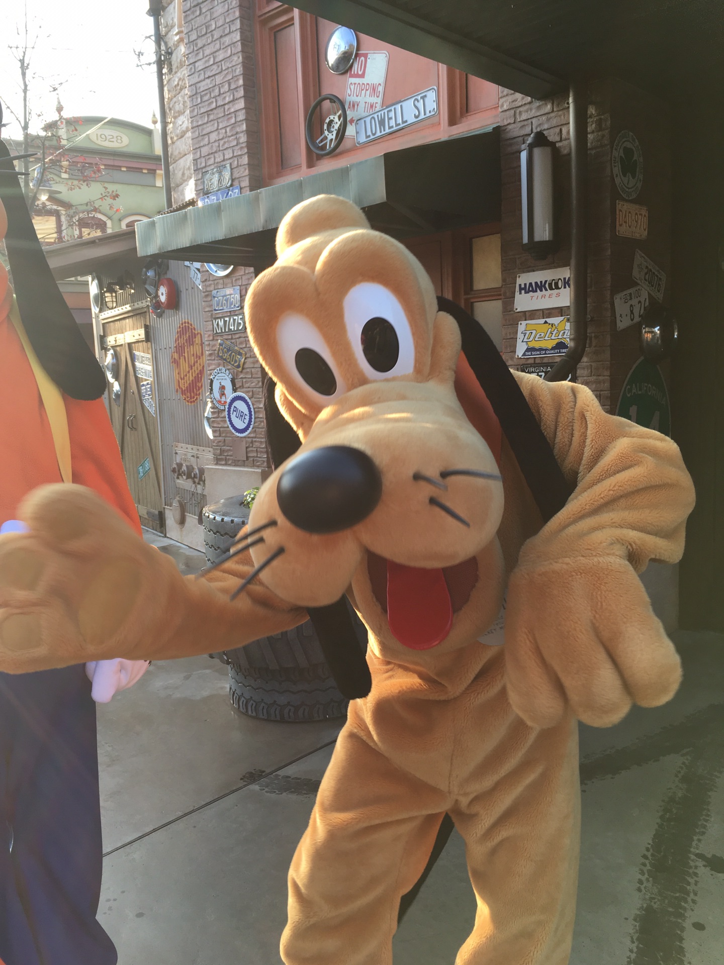 上海游记高飞布鲁托两只狗嬉戏…,有意思