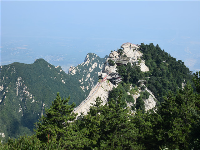 东峰人口_人口普查(2)