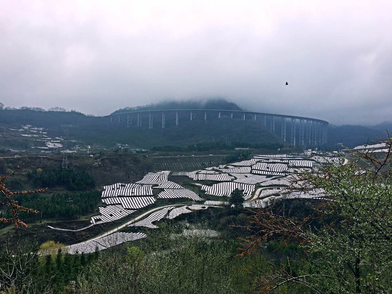 九襄旧时光,冶勒湖好风光.,石棉县旅游攻略 - 马蜂窝