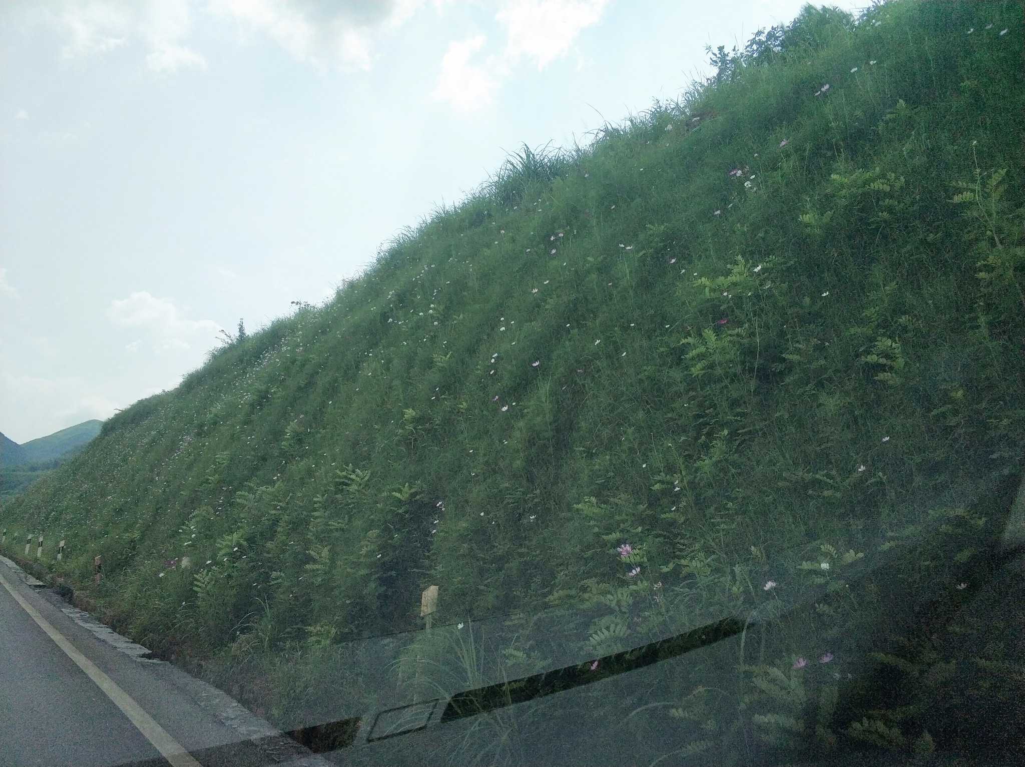 2020年古田县GDP十月_偷星九月天十月(3)