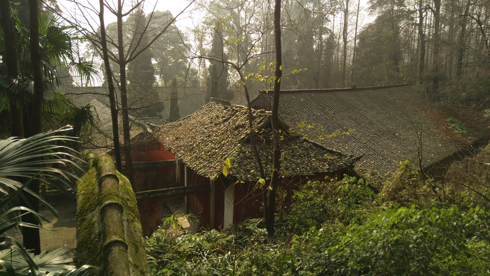 都江堰灵岩寺游记