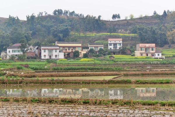 富顺县城,西到自贡市区,北到内江市区,距离介于35-40公里间,形成以牛图片