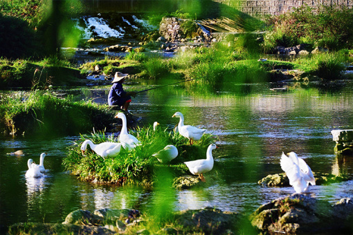 游览云贵高原明珠—【花溪湿地公园】, 感受"十里河滩明如镜,几步花圃图片