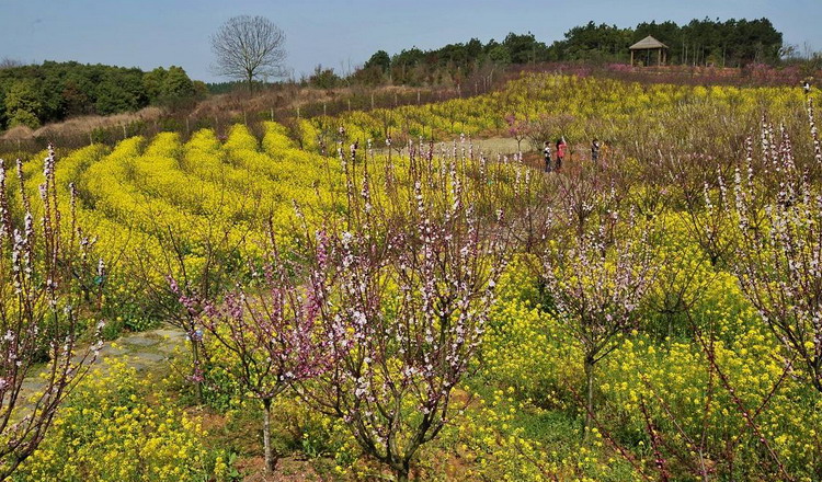 南昌 凤凰沟风景区电子门票(直接凭短信验证码入园)