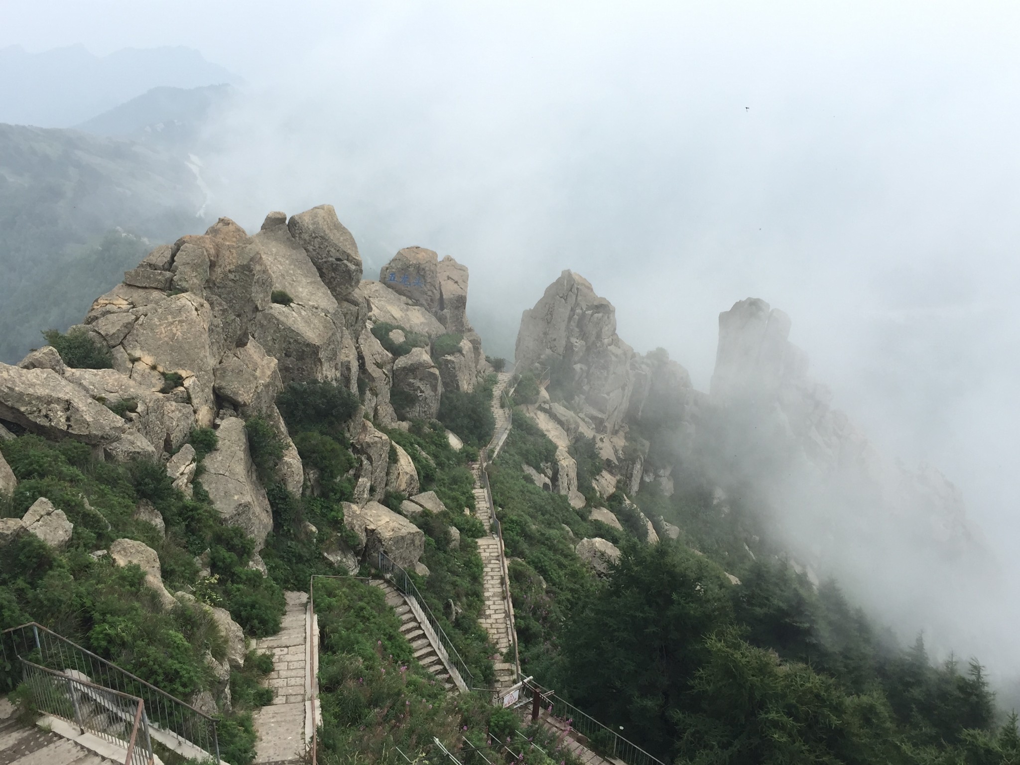 山野寻花之雾灵山