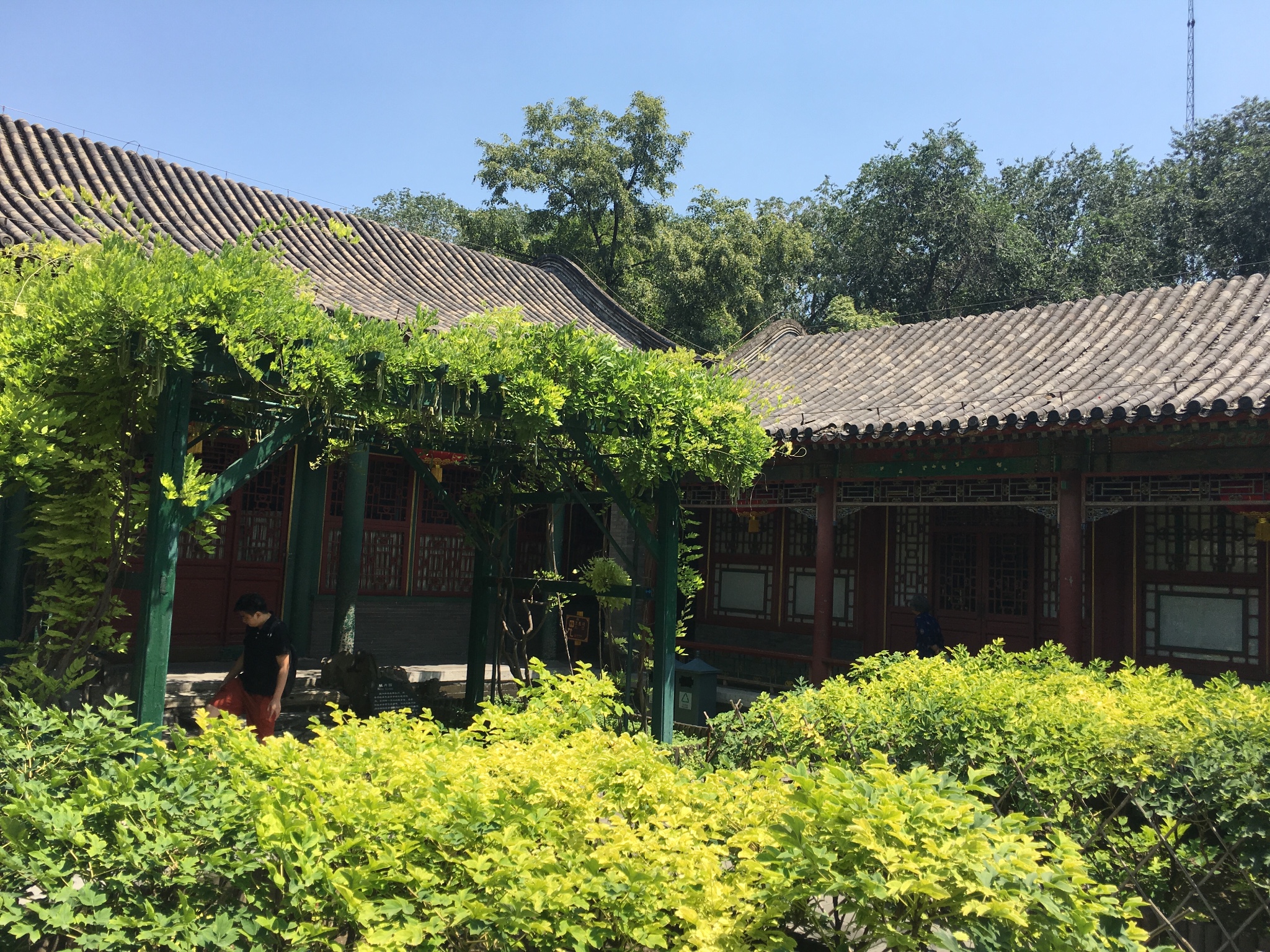 恭王府,5a景区【北京市内游】2017年6月25日