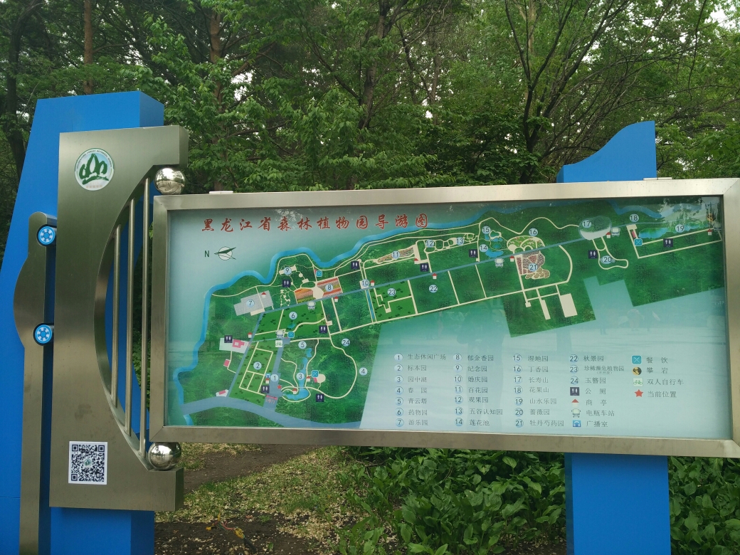 雨后的郁金香与牡丹黑龙江省森林植物园,哈尔滨旅游