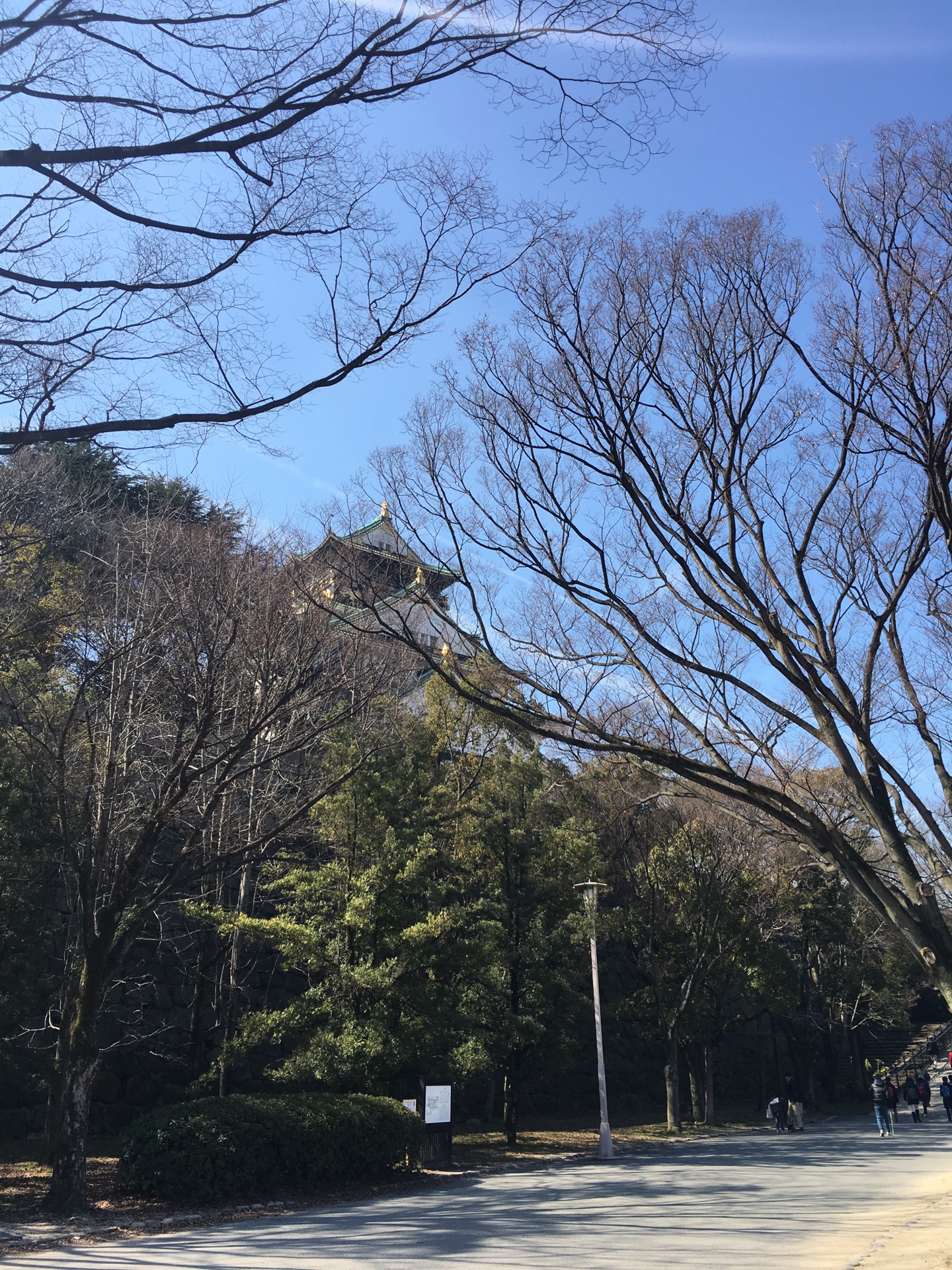 北幸村人口_人口普查图片(3)