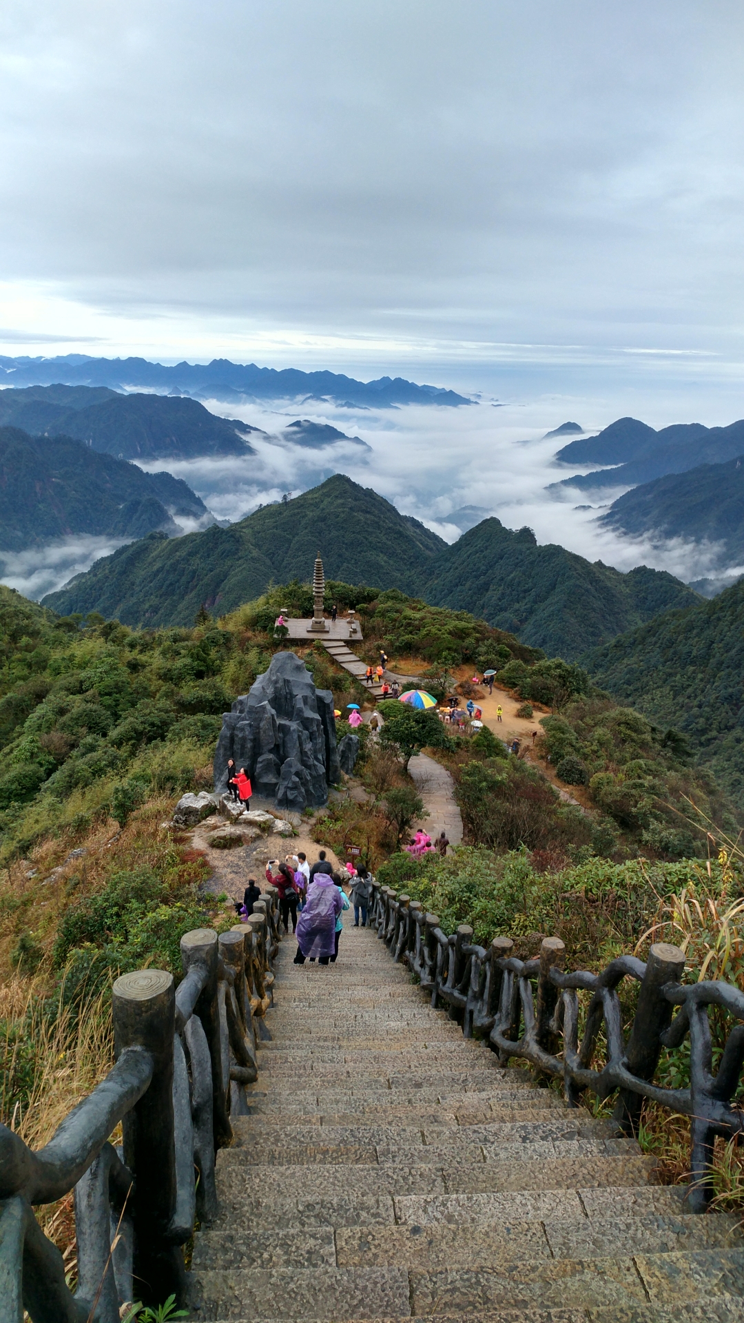 祖国风光(4048)郴州莽山杜鹃花怒放