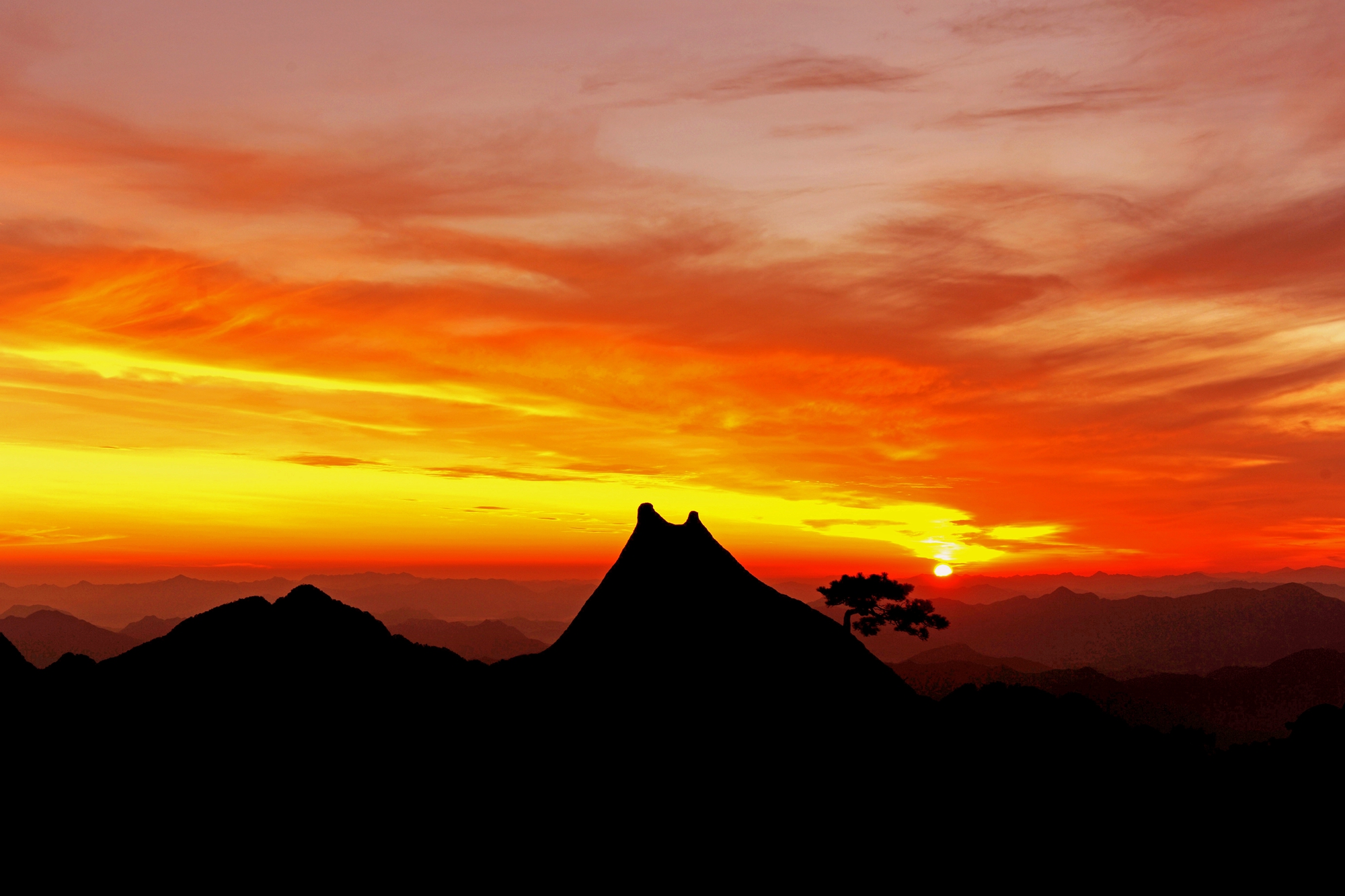 ��ɽ���Ʊ���ס�ޣ����������ճ����� ס��������������+�ճ����޷�  ������͵��ӵ�ͼ��