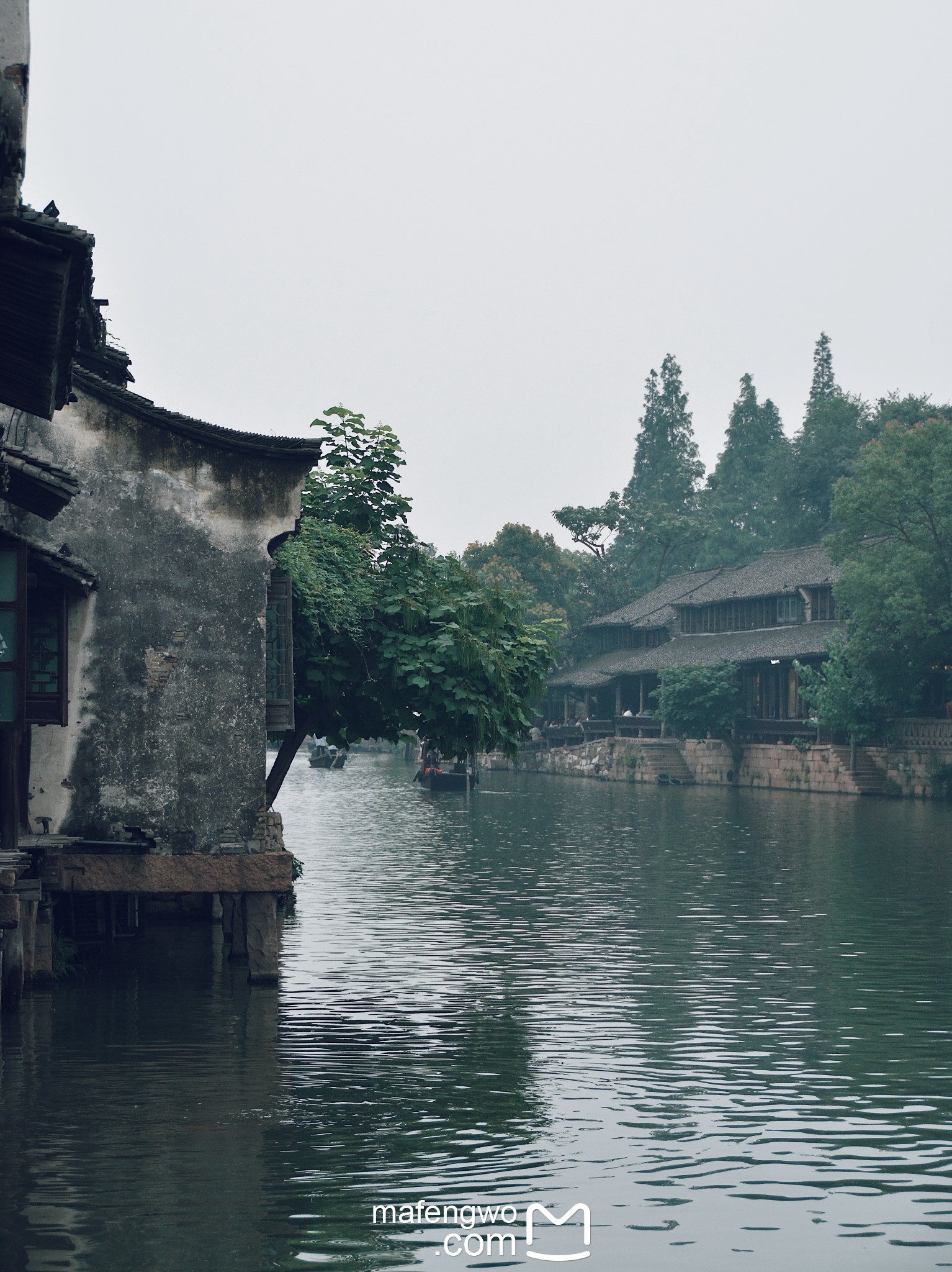 6月的杭州,乌镇——遇上一个烟雨江南,涟漪微动,邂逅