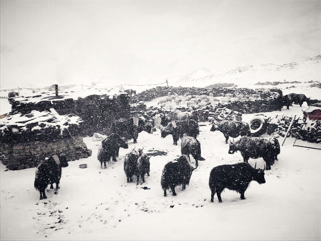 乞丐猜一成语_乞丐要饭图片(3)