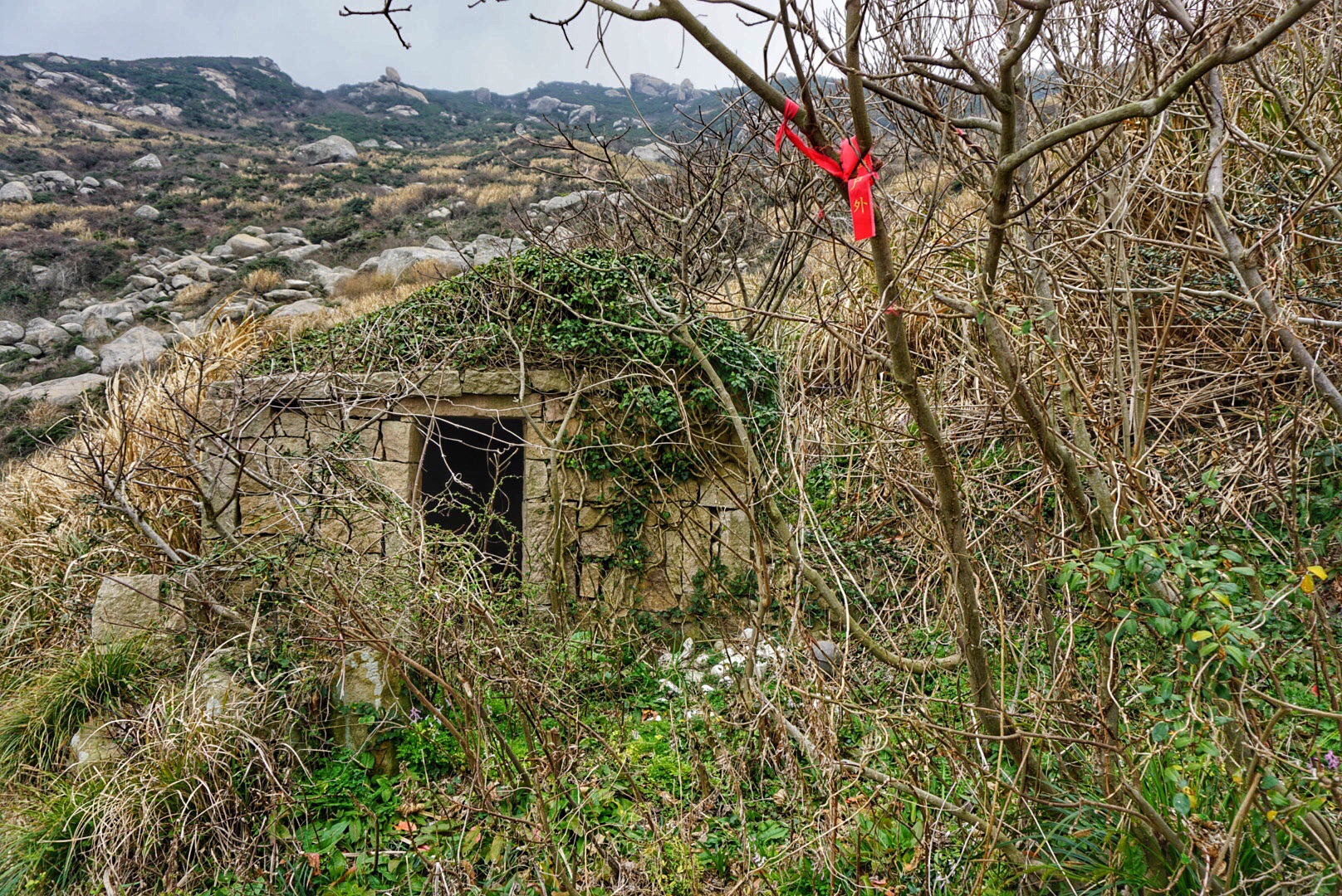 普陀多少人口_普陀寺(2)