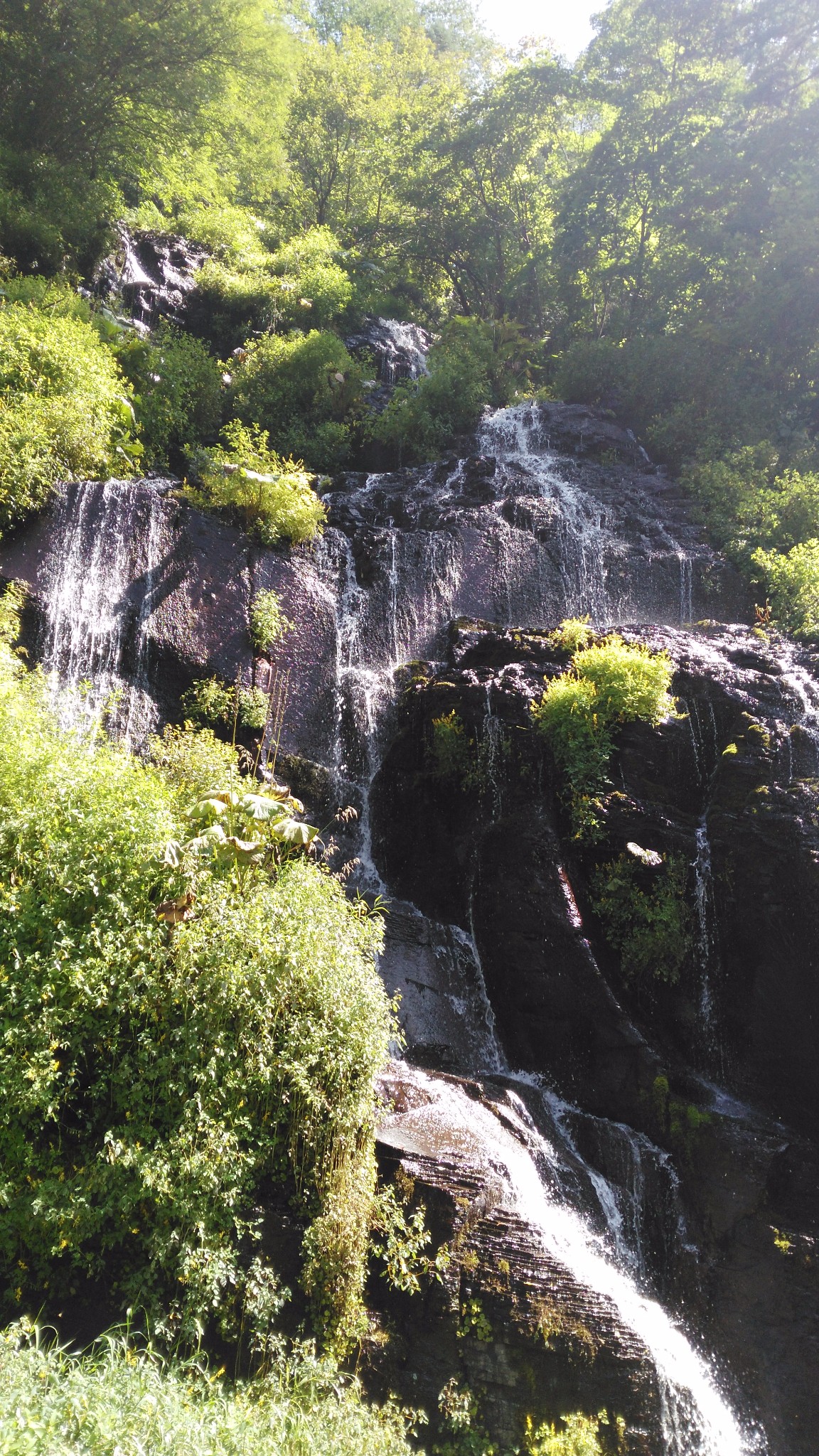 望天鹅风景区