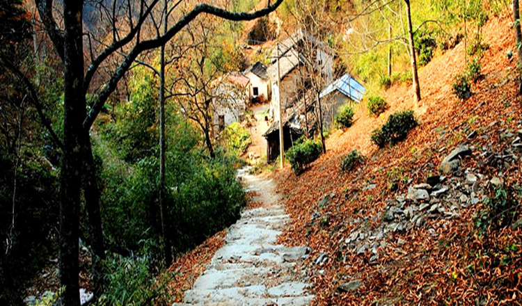 宣城徽杭古道景区 徽杭古道景区门票(电子票 江南第一