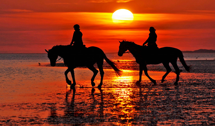 普吉岛国际马术俱乐部浪漫海边骑马 市区接送 (浪漫沙滩骑马 夕阳下