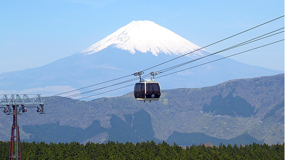 【樱花特色】北口本宫富士浅间神社+八音盒之
