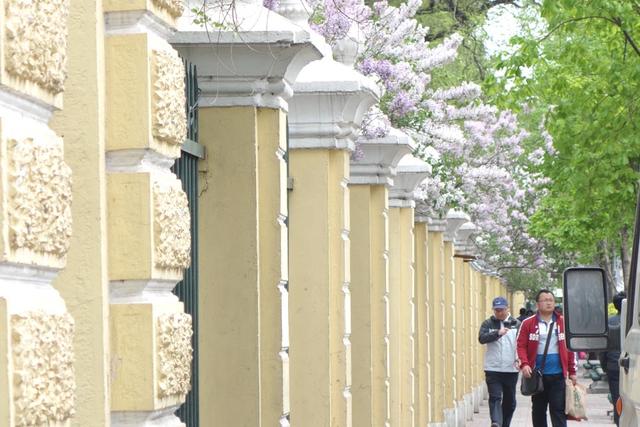 【原创】哈尔滨纪行——兆麟公园一瞥（组图）