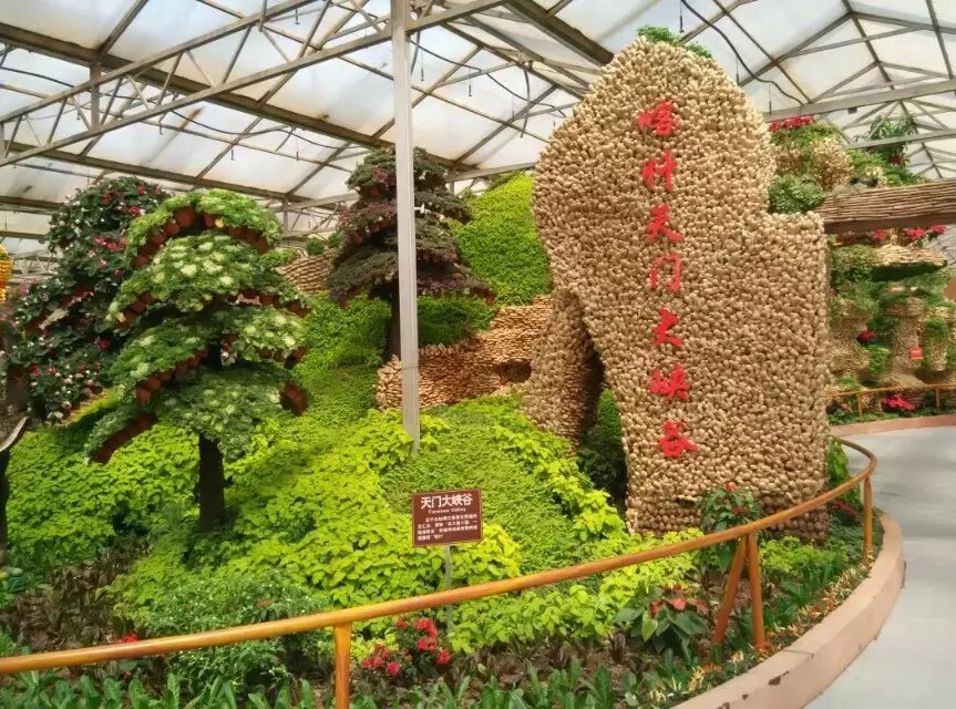 中国寿光蔬菜博物馆      