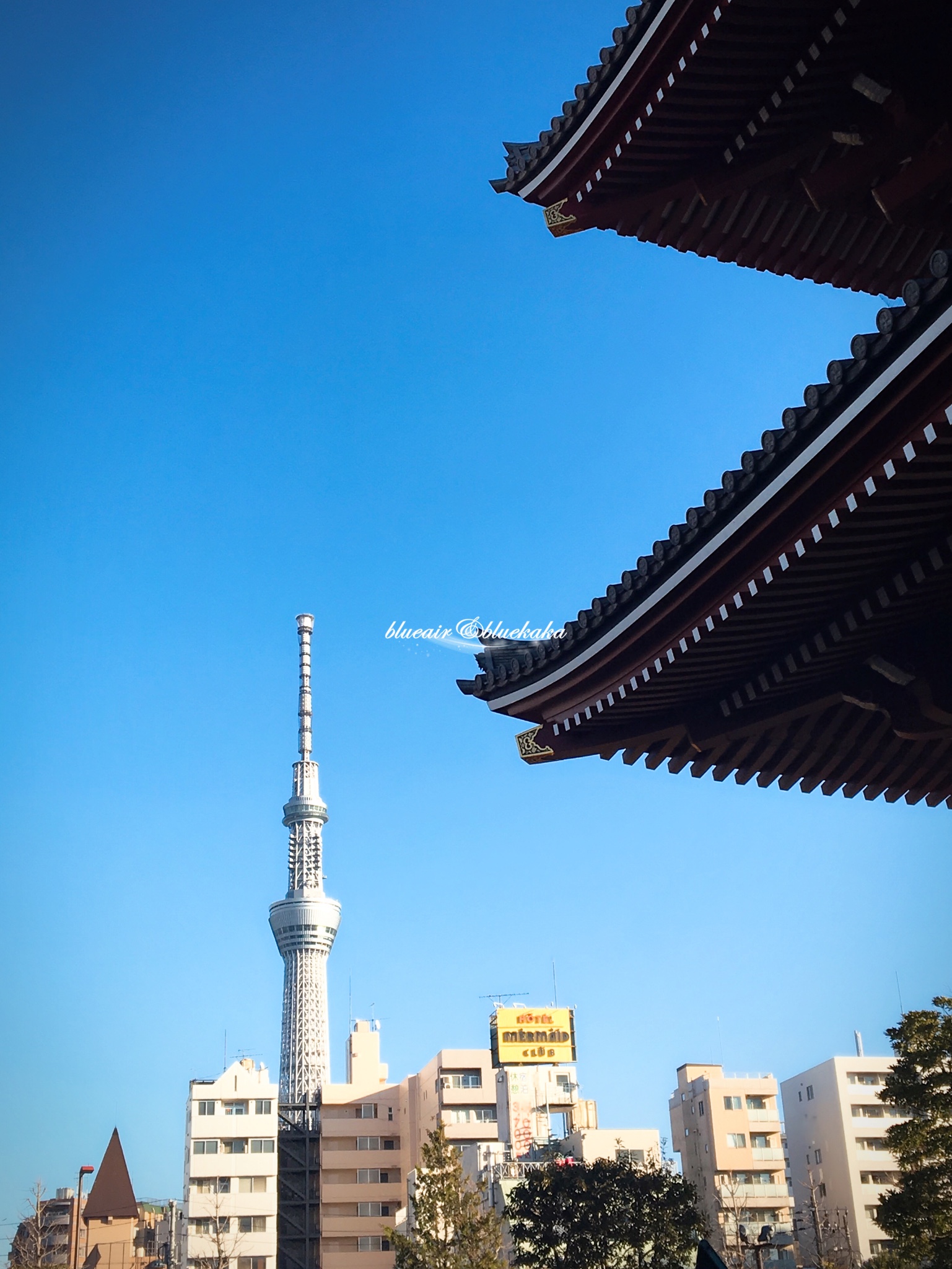 平成28年的城市游行-东京跨年7日自由行-满满