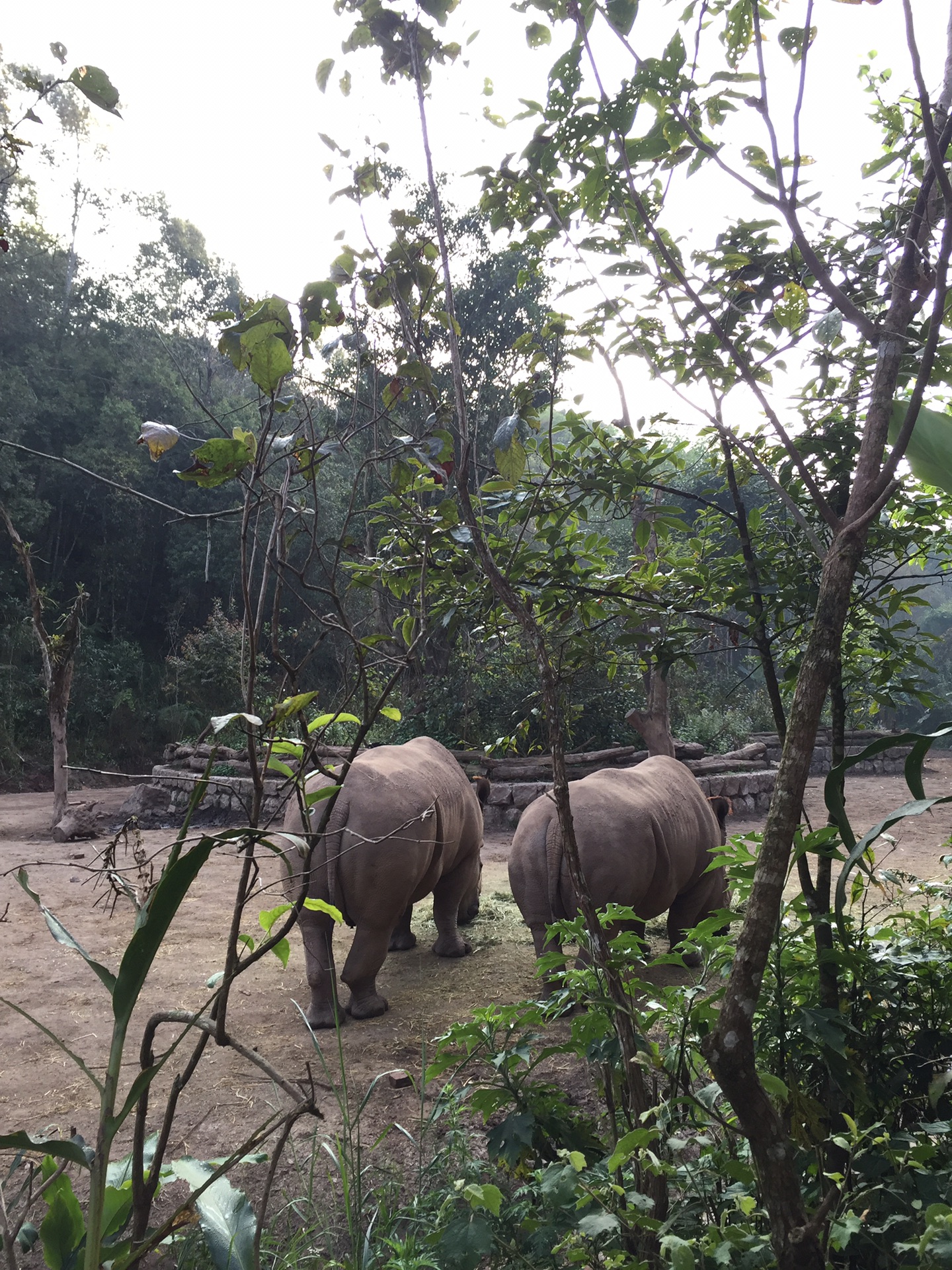 华西村人均收入_人均6000元一位