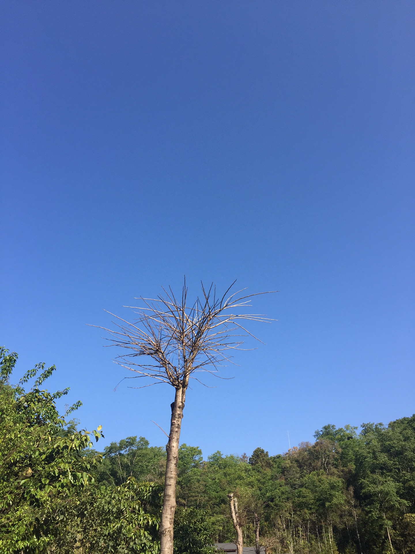 华西村人均收入_人均6000元一位