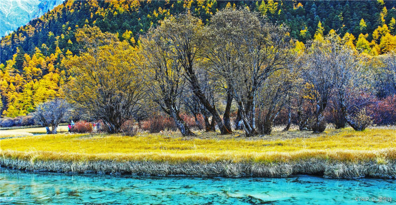 wKgBEFsRBCiAQ1_SAAPU-LePYl019.jpeg?imageView2%2F2%2Fw%2F510%2Fh%2F8000%2Fq%2F100