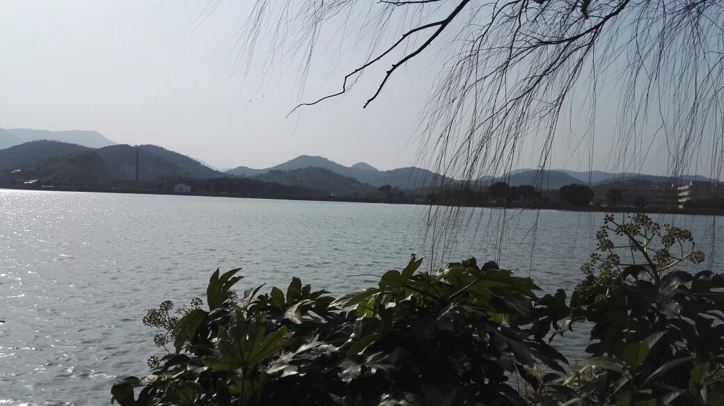 慈溪杜湖攻略,杜湖门票_地址,杜湖游览攻略 - 马蜂窝