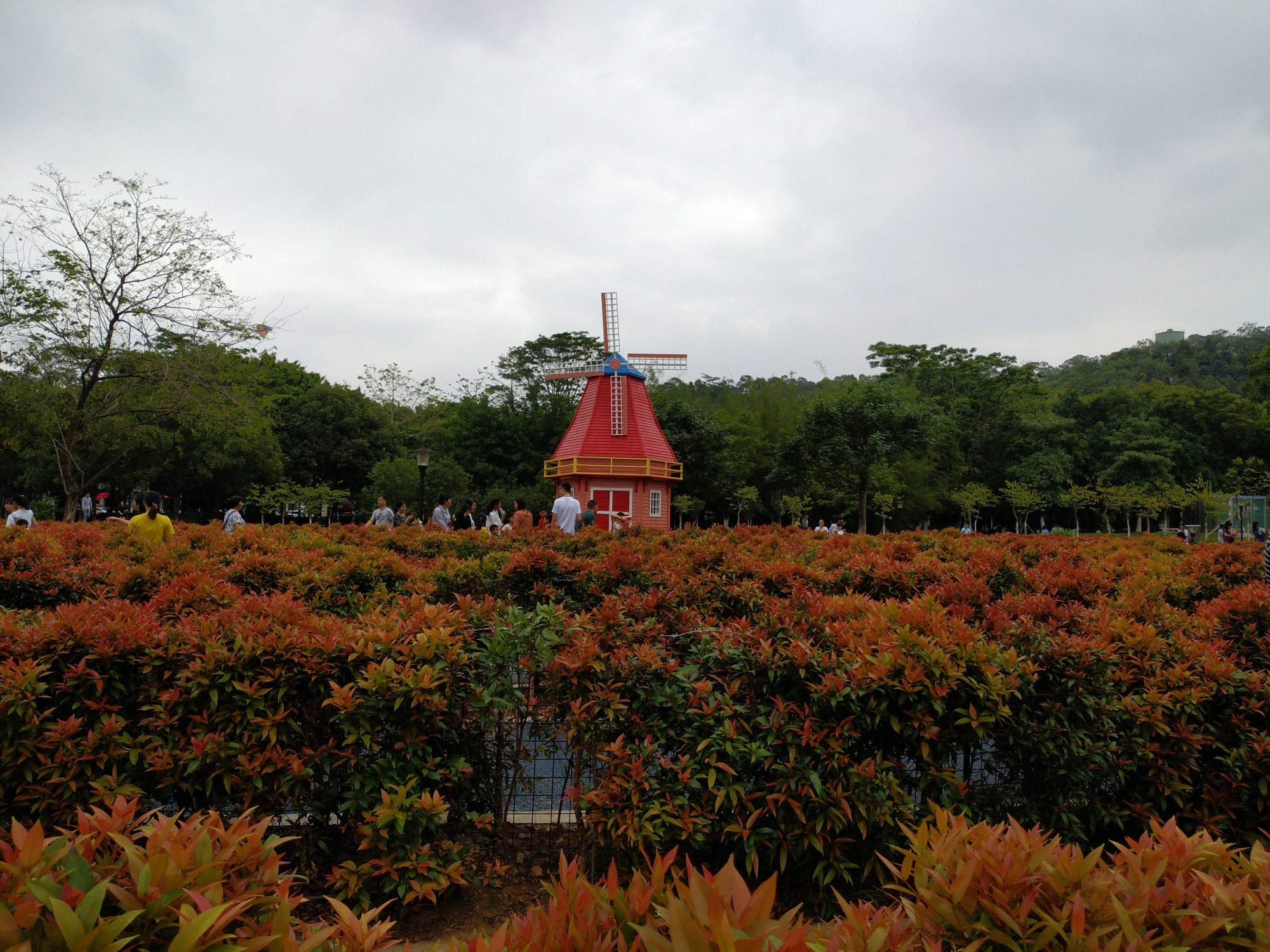 免费游东莞植物园(绿色世界)