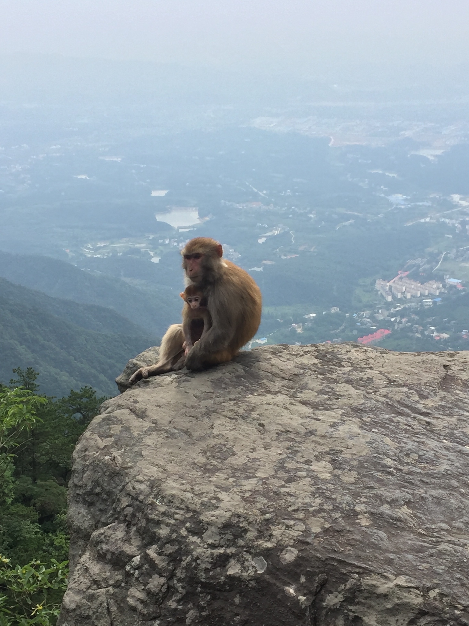 不识庐山真面目 猜成语_不识庐山真面目图片(3)