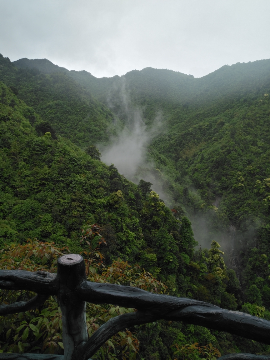 松阳箬寮原始森林游记