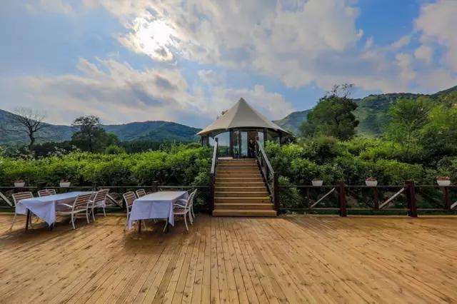 两坨GDP_胯部两侧有两坨肉(2)