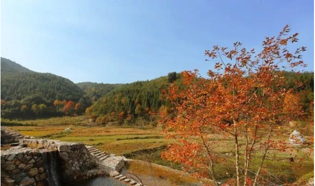 汤川乡人口_尤溪汤川乡光明村(3)