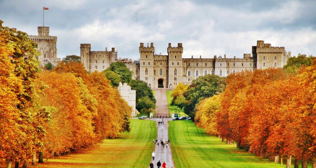 科克gdp_杰米玛·科克(3)