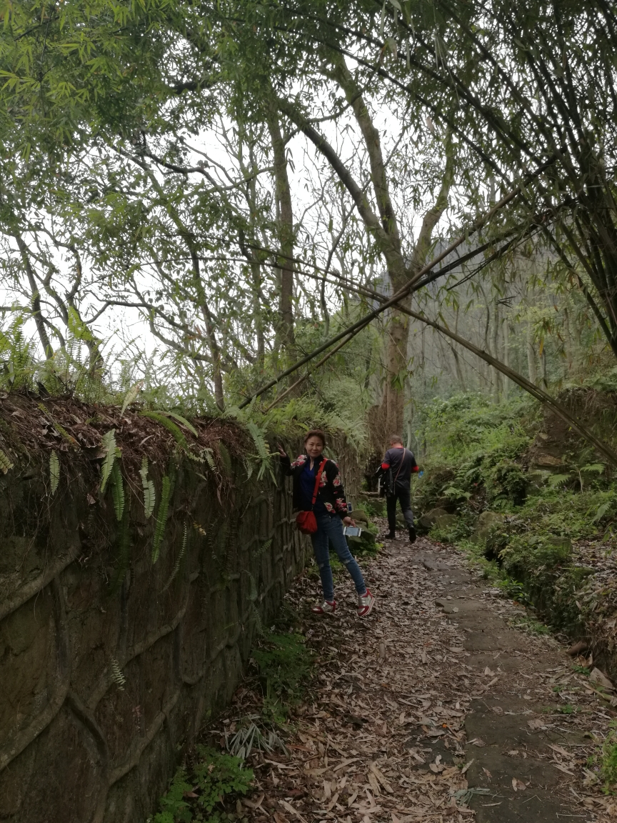 游张飞古道 (2018年3月10)