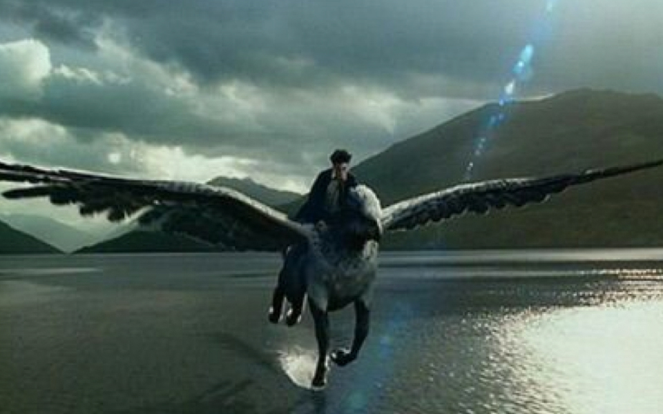       剧照:哈利与鹰头马身有翼兽