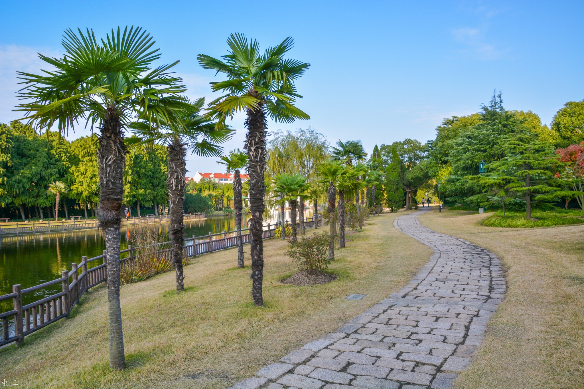 上海 金山清真寺 滨海公园