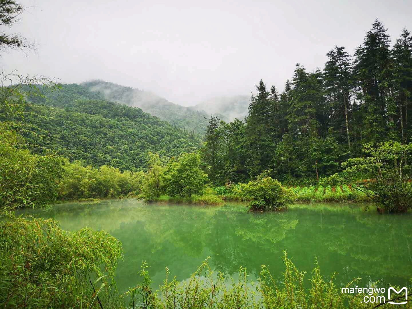 董家河风景区        