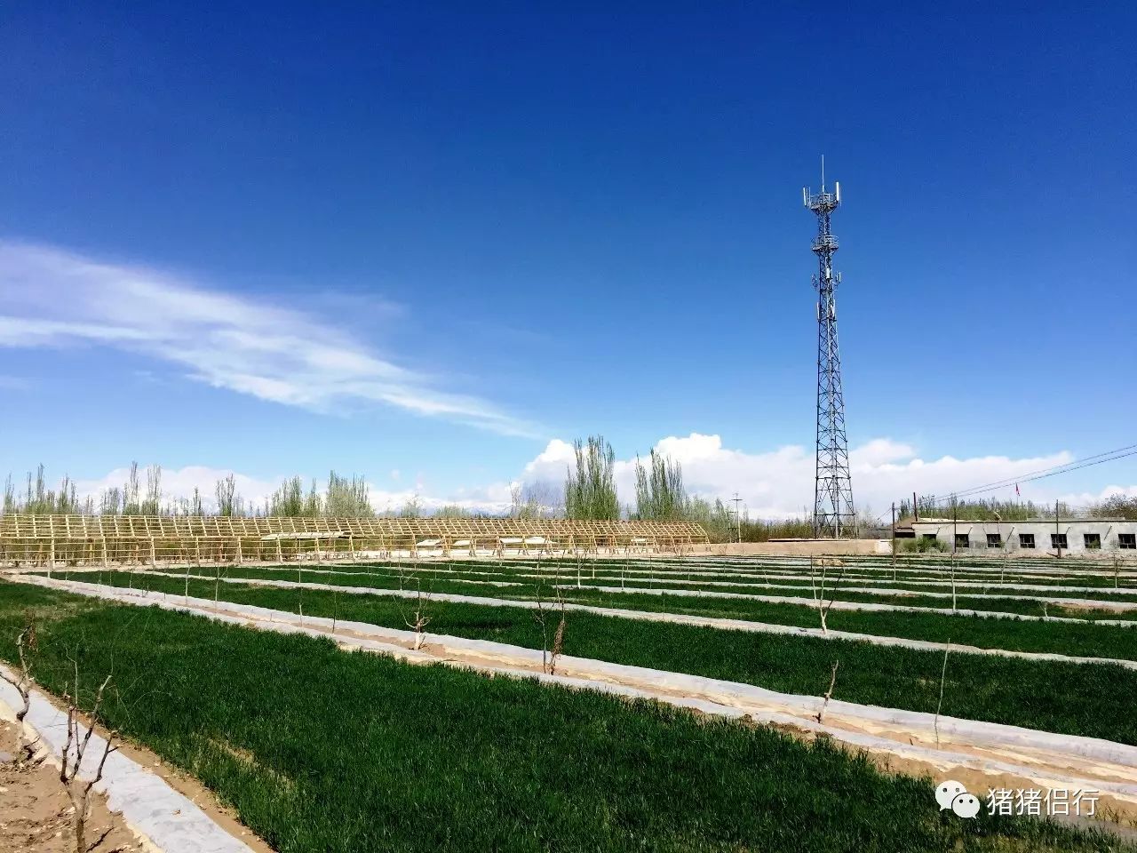 环中国行之一六五阿合奇乌什阿克苏阿拉尔市
