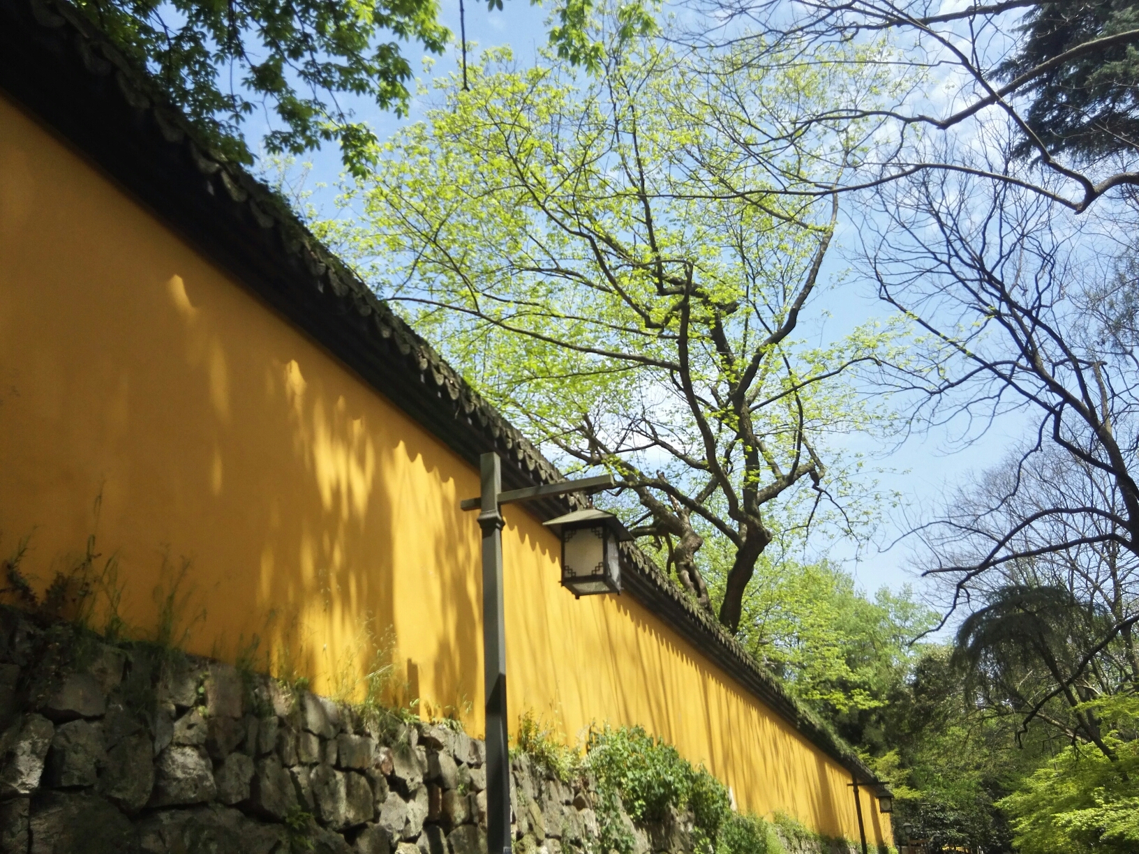 灵隐寺          