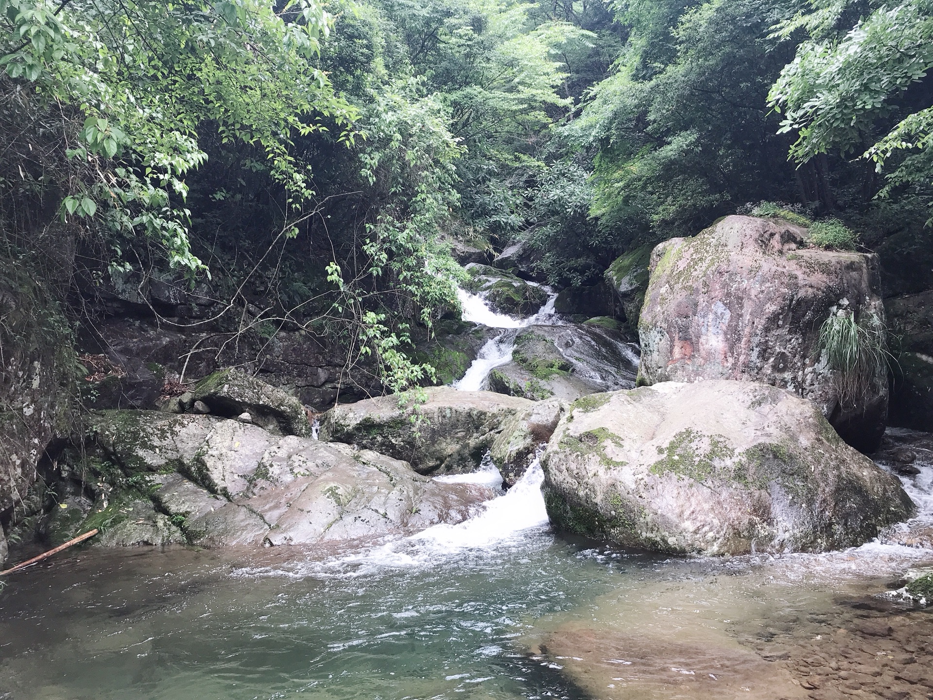 首页 村镇先知 天目山—东天目山的安静   酒店 小伙伴预定的 临安 君