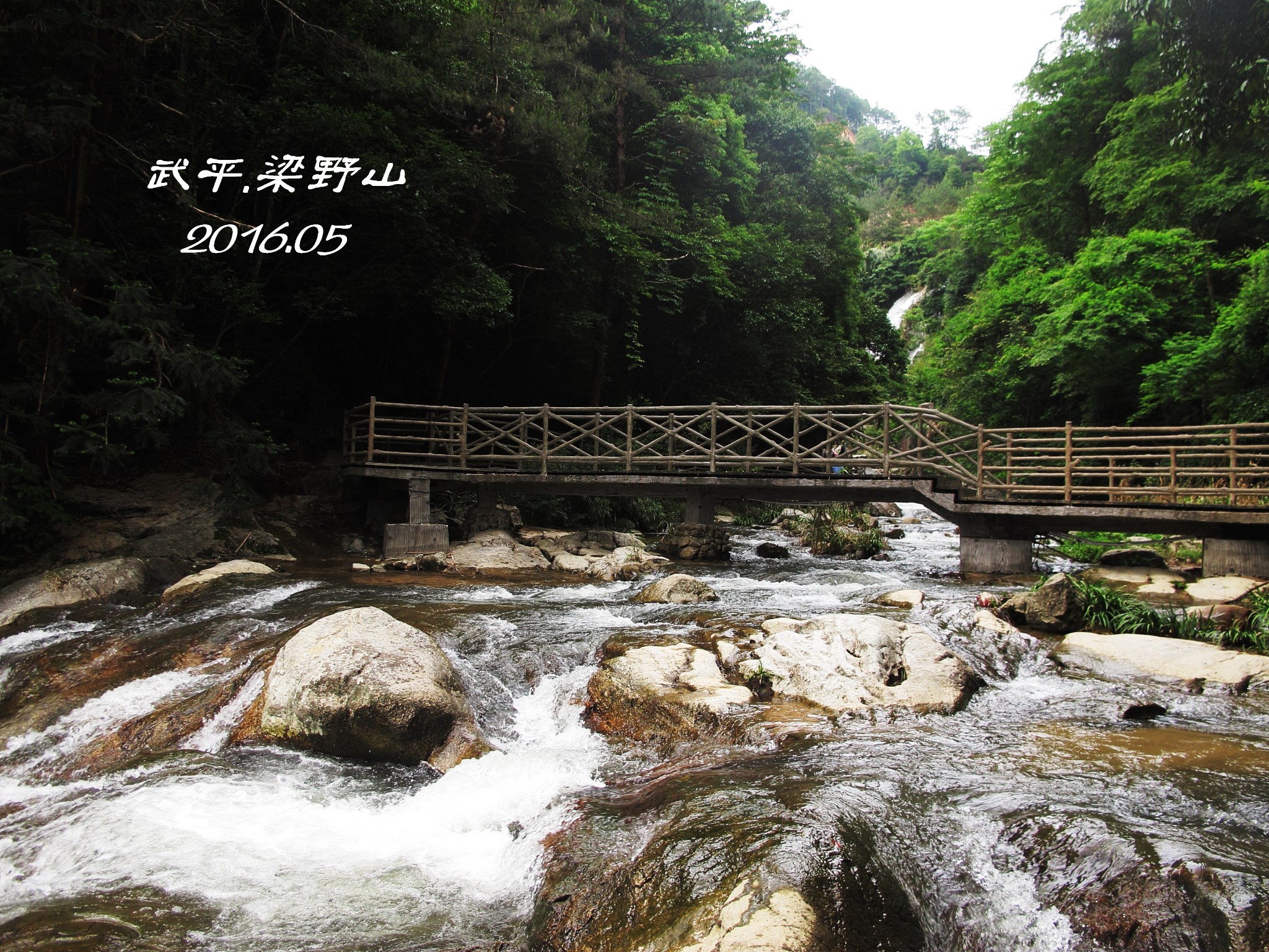 游走他乡--武平梁野山