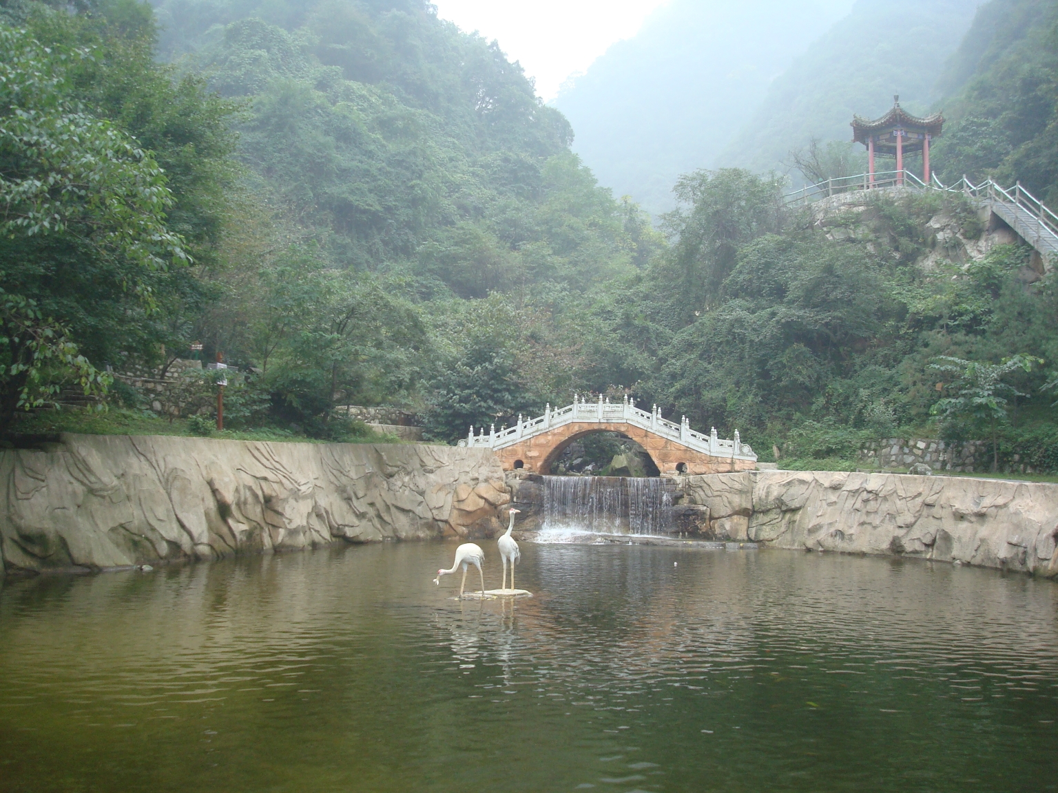 【陕西】祥峪森林公园(山水之行),西安旅游攻略 - 马