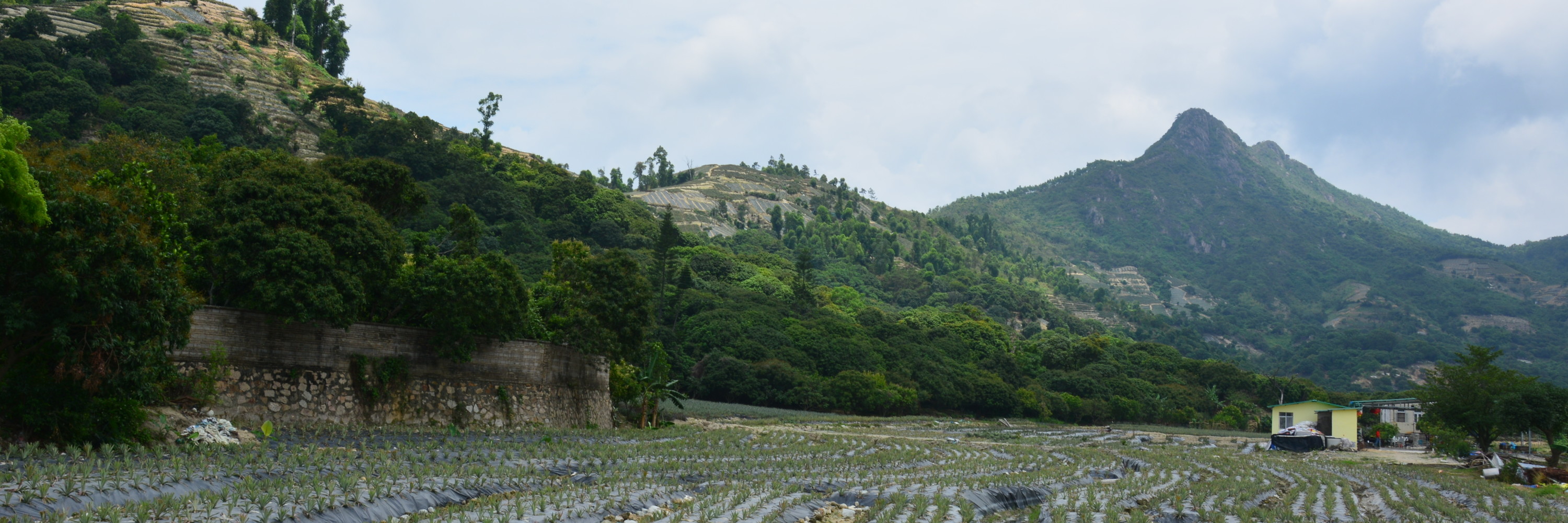 神湾丫髻山菠萝节,中山旅游攻略 - 马蜂窝