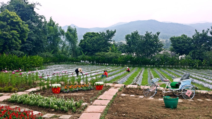 想玩曼谷和清迈,几天比较合适